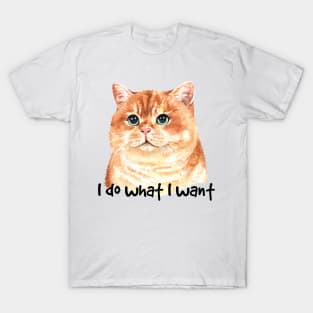 I do What I Want Kitten T-Shirt